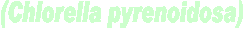(Chlorella pyrenoidosa)