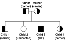 Diagram of how cystic fibrosis is inherited